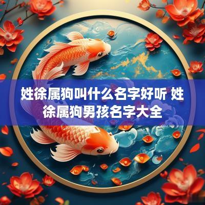 姓徐属狗叫什么名字好听 姓徐属狗男孩名字大全