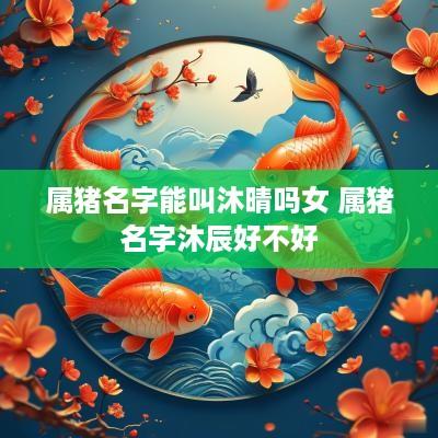 属猪名字能叫沐晴吗女 属猪名字沐辰好不好