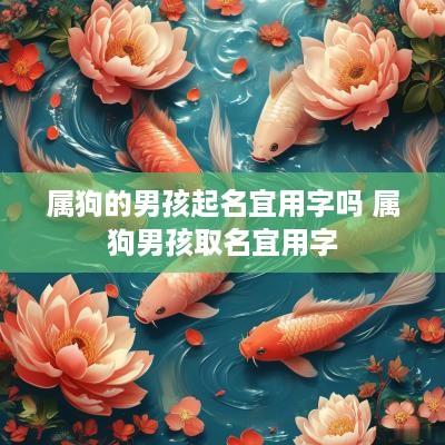 属狗的男孩起名宜用字吗 属狗男孩取名宜用字