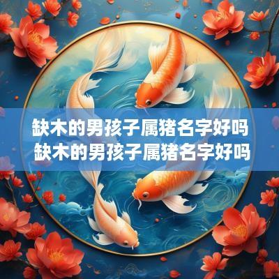 缺木的男孩子属猪名字好吗 缺木的男孩子属猪名字好吗怎么取