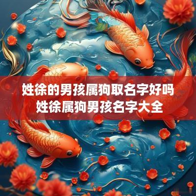 姓徐的男孩属狗取名字好吗 姓徐属狗男孩名字大全