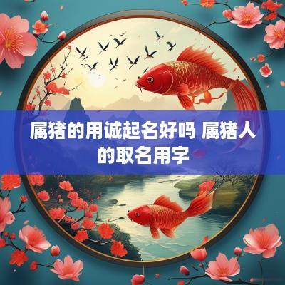 属猪的用诚起名好吗 属猪人的取名用字