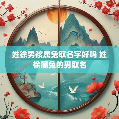 姓徐男孩属兔取名字好吗 姓徐属兔的男取名