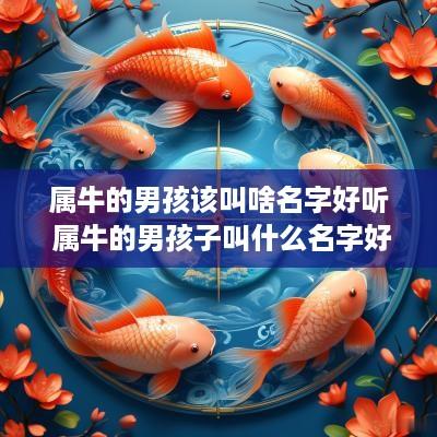 属牛的男孩该叫啥名字好听 属牛的男孩子叫什么名字好