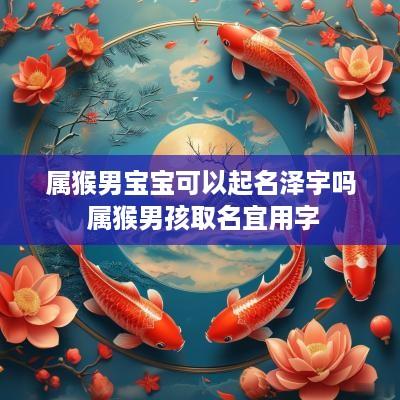 属猴男宝宝可以起名泽宇吗 属猴男孩取名宜用字
