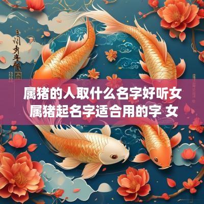 属猪的人取什么名字好听女 属猪起名字适合用的字 女