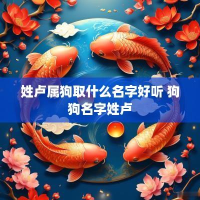 姓卢属狗取什么名字好听 狗狗名字姓卢