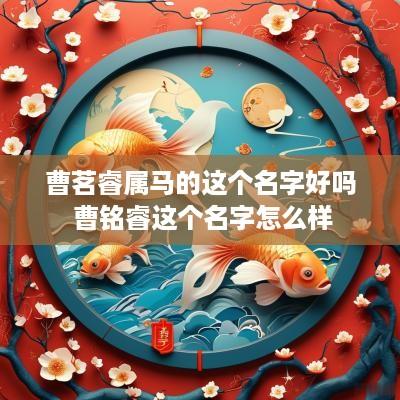 曹茗睿属马的这个名字好吗 曹铭睿这个名字怎么样