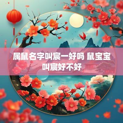 属鼠名字叫宸一好吗 鼠宝宝叫宸好不好