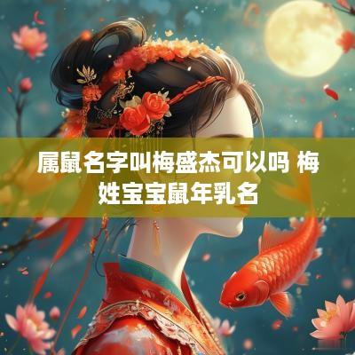 属鼠名字叫梅盛杰可以吗 梅姓宝宝蛇年乳名