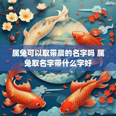 属兔可以取带晨的名字吗 属兔取名字带什么字好