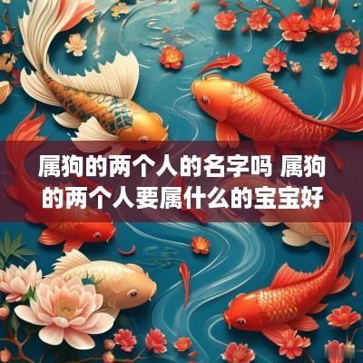 属狗的两个人的名字吗 属狗的两个人要属什么的宝宝好