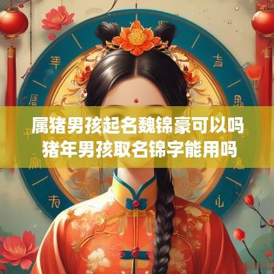 属猪男孩起名魏锦豪可以吗 猪年男孩取名锦字能用吗