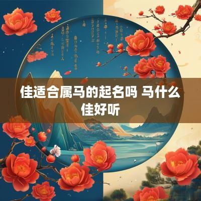 佳适合属马的起名吗 马什么佳好听