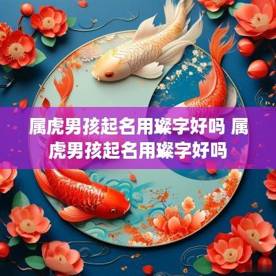 属虎男孩起名用璨字好吗 属虎男孩起名用璨字好吗