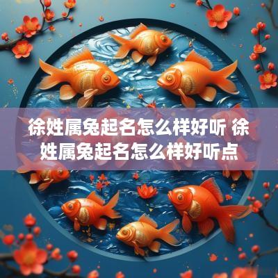 徐姓属兔起名怎么样好听 徐姓属兔起名怎么样好听点