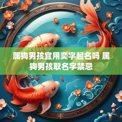 属狗男孩宜用奕字起名吗 属狗男孩取名字禁忌