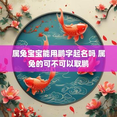 属兔宝宝能用鹏字起名吗 属兔的可不可以取鹏