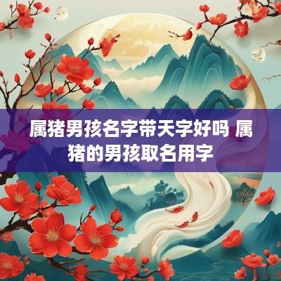 属猪男孩名字带天字好吗 属猪的男孩取名用字