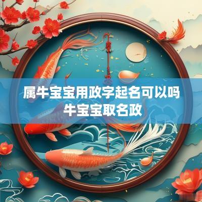 属牛宝宝用政字起名可以吗 牛宝宝取名政
