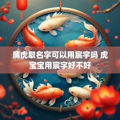 属虎取名字可以用宸宇吗 虎宝宝用宸字好不好