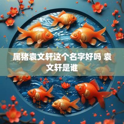 属猪袁文轩这个名字好吗 袁文轩是谁