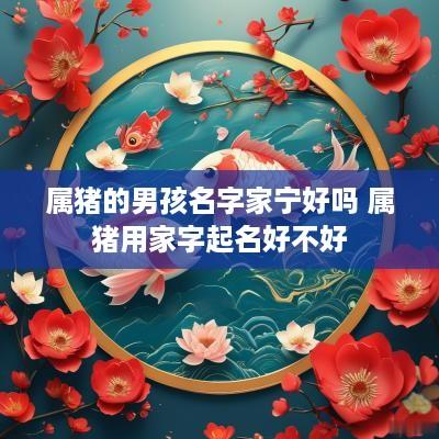 属猪的男孩名字家宁好吗 属猪用家字起名好不好