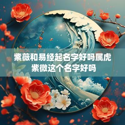 紫薇和易经起名字好吗属虎 紫微这个名字好吗