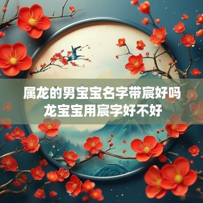 属龙的男宝宝名字带宸好吗 龙宝宝用宸字好不好