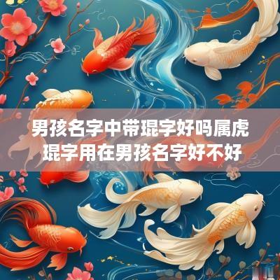 男孩名字中带琨字好吗属虎 琨字用在男孩名字好不好