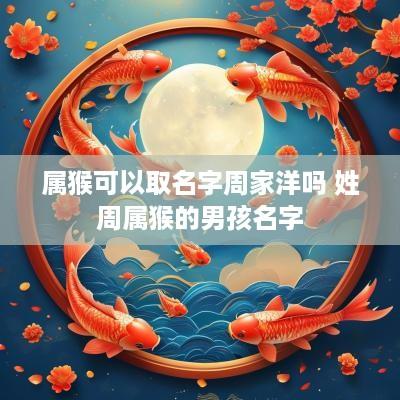 属猴可以取名字周家洋吗 姓周属猴的男孩名字