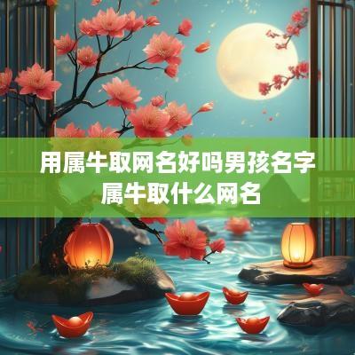 用属牛取网名好吗男孩名字 属牛取什么网名