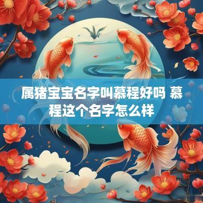 属猪宝宝名字叫慕程好吗 慕程这个名字怎么样