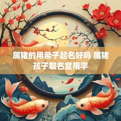 属猪的用希子起名好吗 属猪孩子取名宜用字
