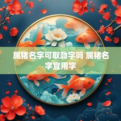 属猪名字可取劲字吗 属猪名字宜用字