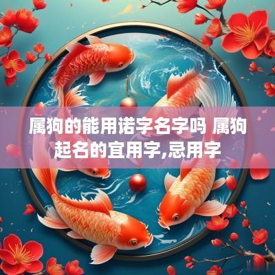 属狗的能用诺字名字吗 属狗起名的宜用字,忌用字