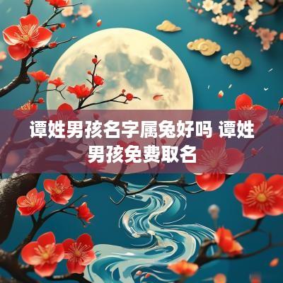 谭姓男孩名字属兔好吗 谭姓男孩免费取名