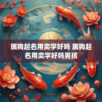 属狗起名用奕字好吗 属狗起名用奕字好吗男孩