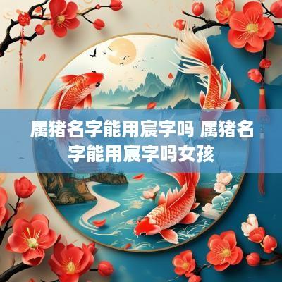 属猪名字能用宸字吗 属猪名字能用宸字吗女孩