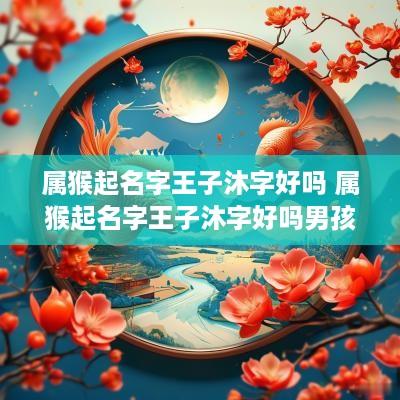 属猴起名字王子沐字好吗 属猴起名字王子沐字好吗男孩