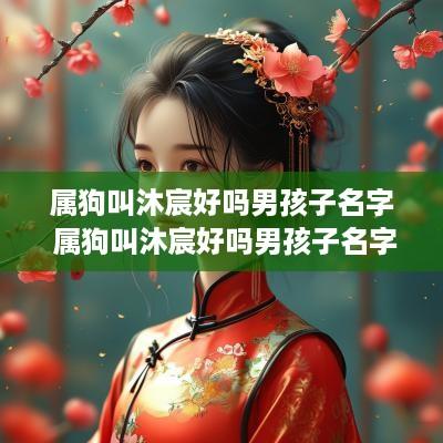 属狗叫沐宸好吗男孩子名字 属狗叫沐宸好吗男孩子名字大全