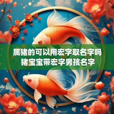 属猪的可以用宏字取名字吗 猪宝宝带宏字男孩名字