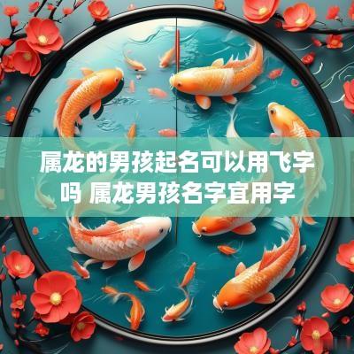 属龙的男孩起名可以用飞字吗 属龙男孩名字宜用字