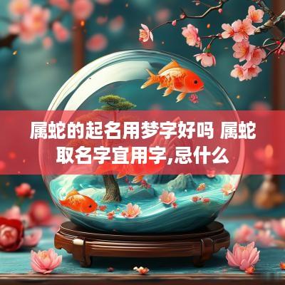 属蛇的起名用梦字好吗 属蛇取名字宜用字,忌什么