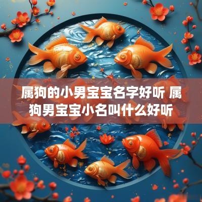 属狗的小男宝宝名字好听 属狗男宝宝小名叫什么好听