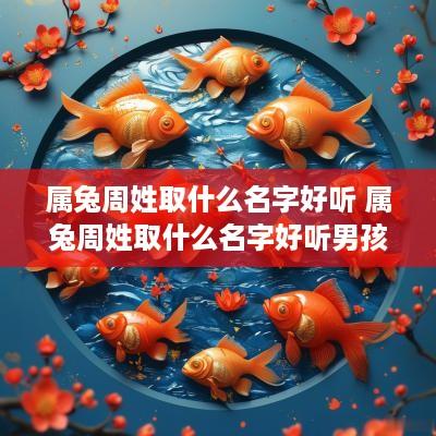 属兔周姓取什么名字好听 属兔周姓取什么名字好听男孩