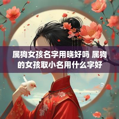 属狗女孩名字用晓好吗 属狗的女孩取小名用什么字好