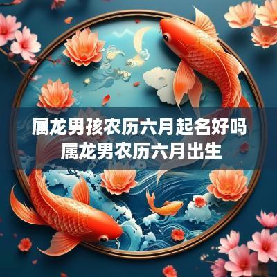 属龙男孩农历六月起名好吗 属龙男农历六月出生