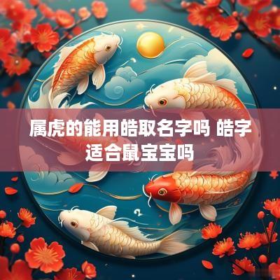 属虎的能用皓取名字吗 皓字适合鼠宝宝吗