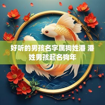 好听的男孩名字属狗姓潘 潘姓男孩起名狗年